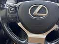 Lexus LEXUS NX Todoterreno  Automático de 5 Puertas Grau - thumbnail 20