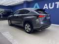 Lexus LEXUS NX Todoterreno  Automático de 5 Puertas Grau - thumbnail 6