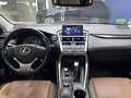 Lexus LEXUS NX Todoterreno  Automático de 5 Puertas Grau - thumbnail 15