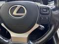 Lexus LEXUS NX Todoterreno  Automático de 5 Puertas Grau - thumbnail 21