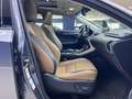 Lexus LEXUS NX Todoterreno  Automático de 5 Puertas Grau - thumbnail 17