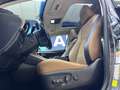 Lexus LEXUS NX Todoterreno  Automático de 5 Puertas Grau - thumbnail 11