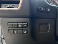 Lexus LEXUS NX Todoterreno  Automático de 5 Puertas Grau - thumbnail 24