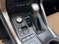 Lexus LEXUS NX Todoterreno  Automático de 5 Puertas Grau - thumbnail 23