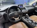 Lexus LEXUS NX Todoterreno  Automático de 5 Puertas Grau - thumbnail 12