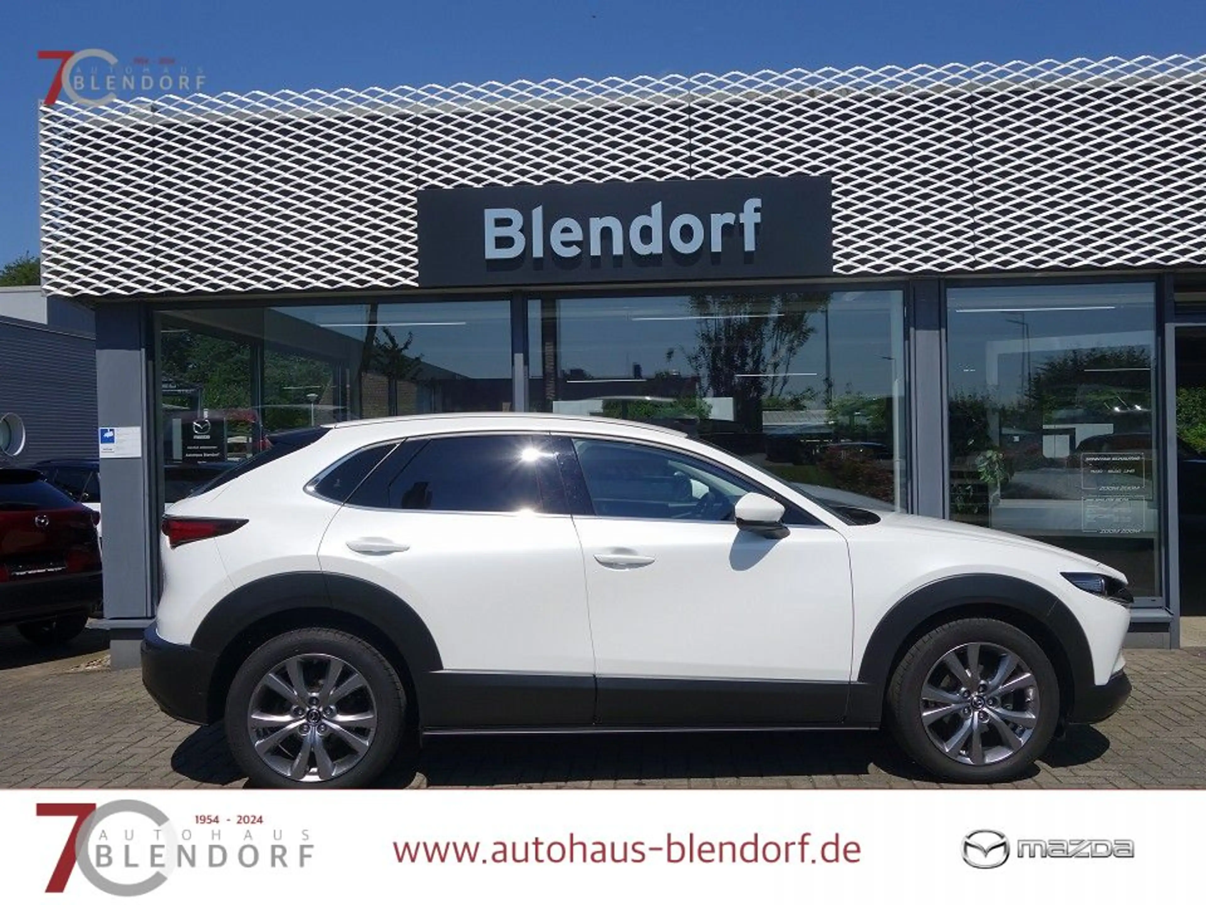 Mazda CX-30 Selection 122 Automatik Design-Active|Bose-Sound|N — photo 6