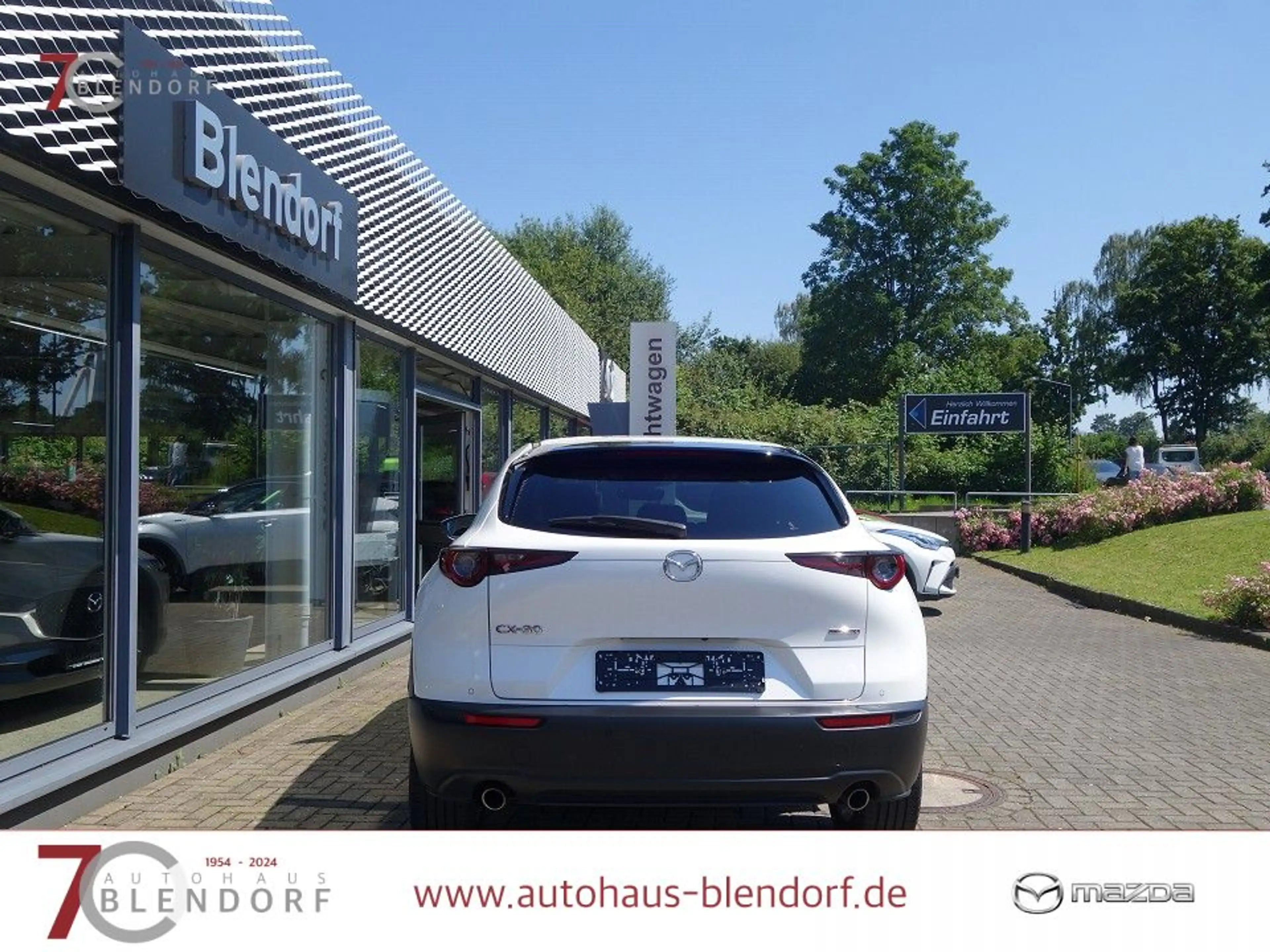 Mazda CX-30 Selection 122 Automatik Design-Active|Bose-Sound|N — photo 7