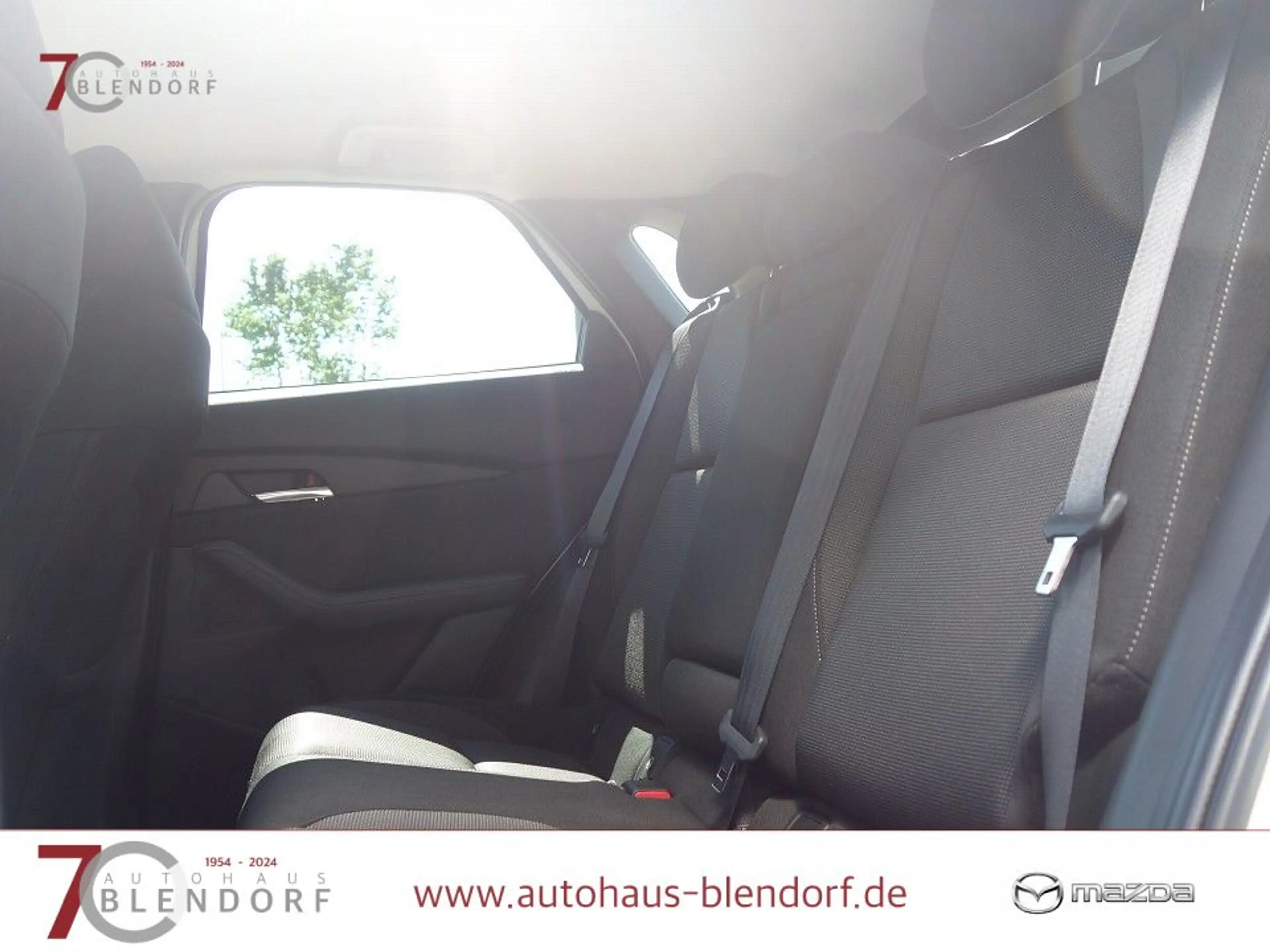 Mazda CX-30 Selection 122 Automatik Design-Active|Bose-Sound|N — photo 15