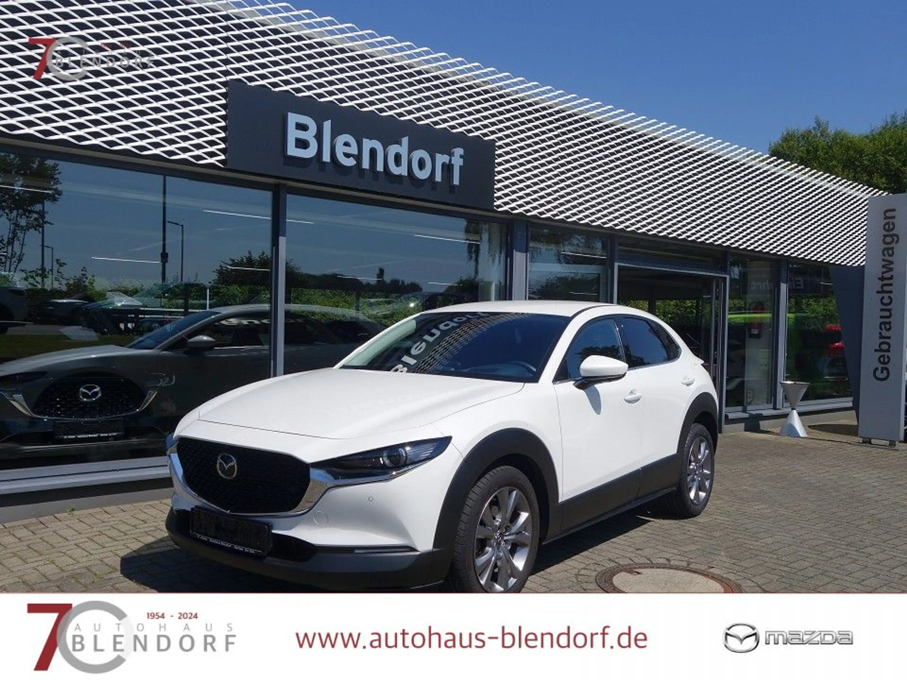 Mazda CX-30 Selection 122 Automatik Design-Active|Bose-Sound|N