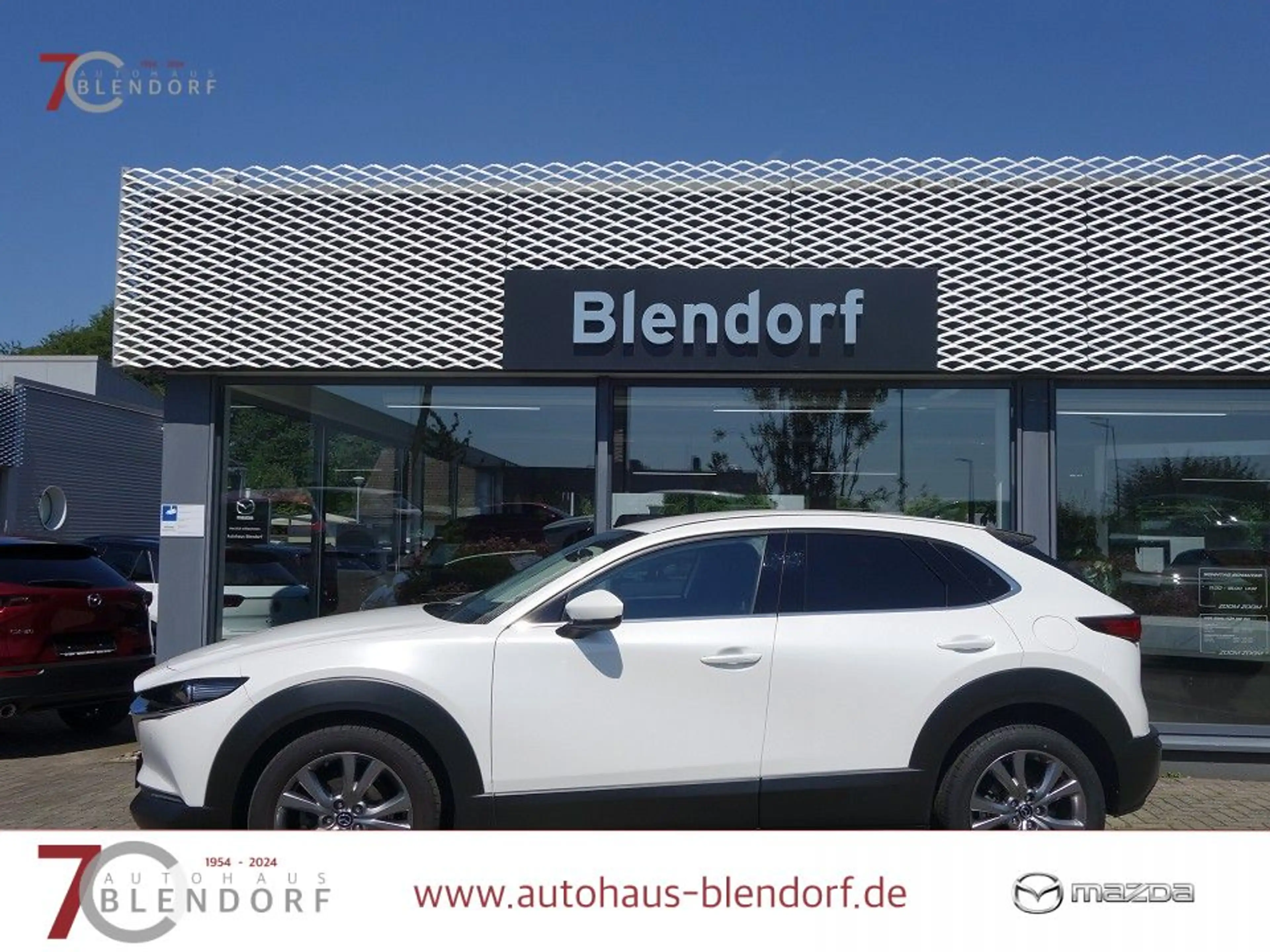 Mazda CX-30 Selection 122 Automatik Design-Active|Bose-Sound|N — photo 3
