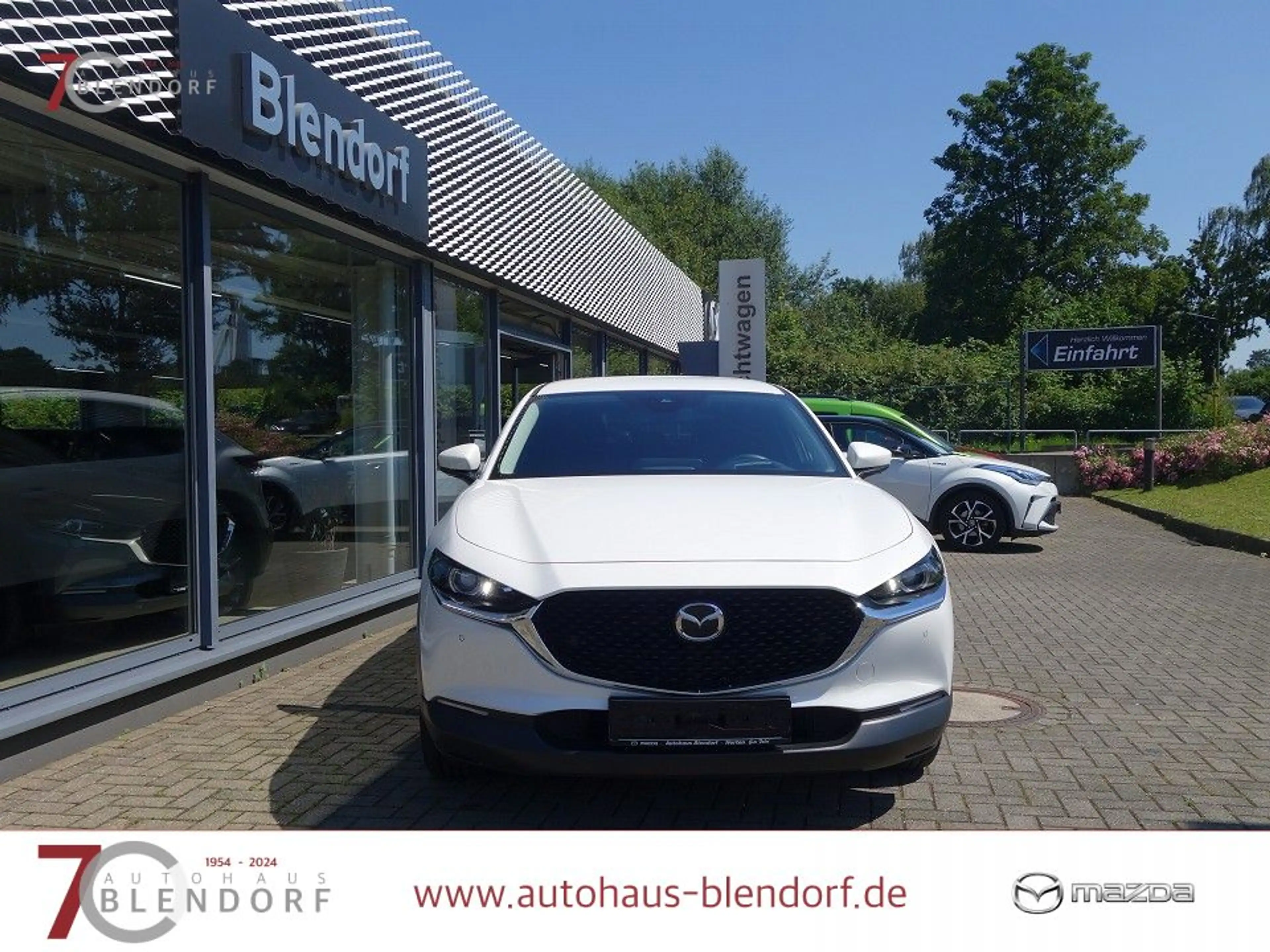 Mazda CX-30 Selection 122 Automatik Design-Active|Bose-Sound|N — photo 4