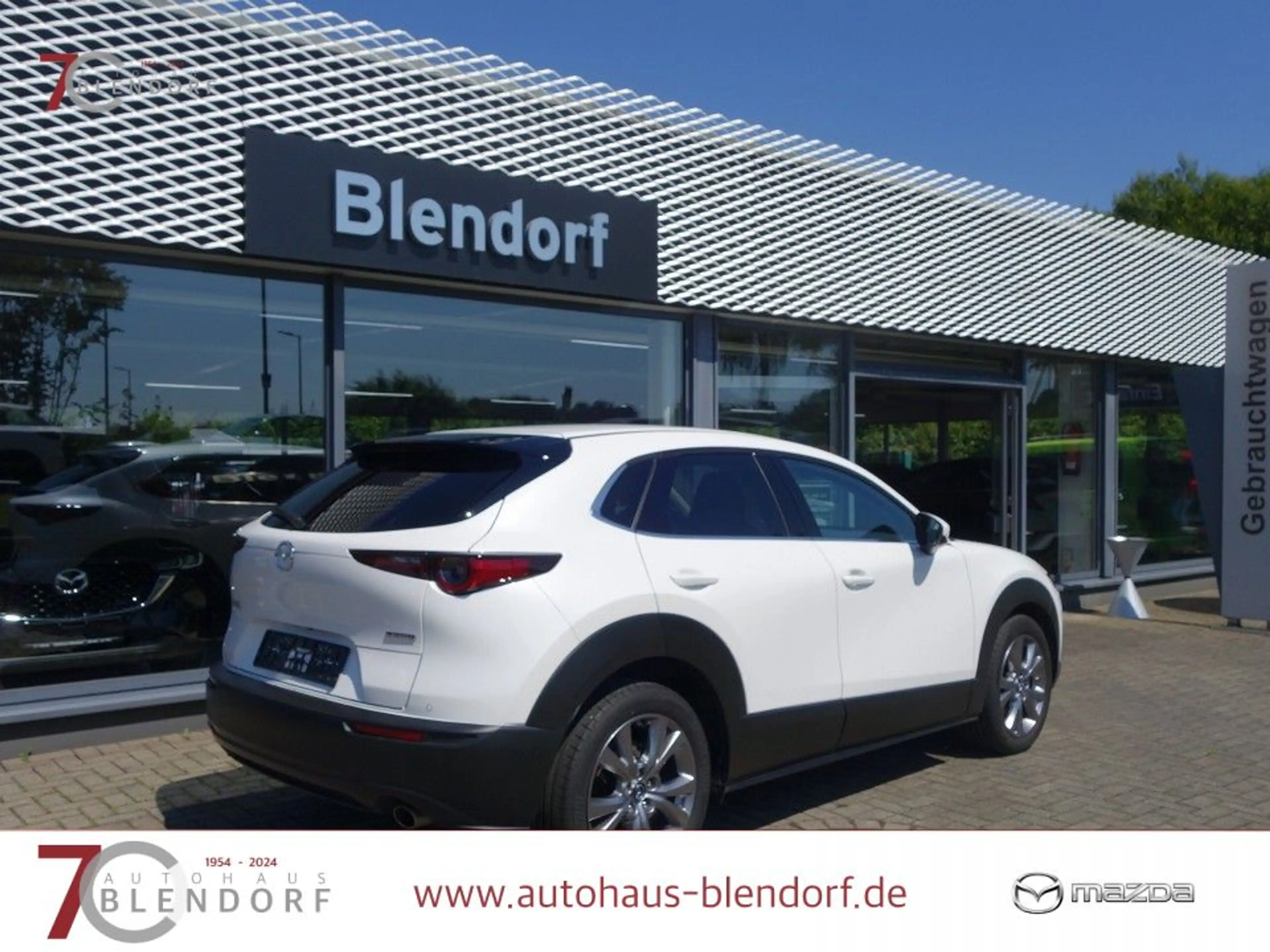 Mazda CX-30 Selection 122 Automatik Design-Active|Bose-Sound|N — photo 5