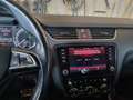 Skoda Octavia Octavia Scout 2,0 TDI 4x4 DSG Scout Grau - thumbnail 13