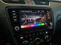 Skoda Octavia Octavia Scout 2,0 TDI 4x4 DSG Scout Grau - thumbnail 14