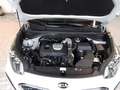 Kia Sportage 1.6 T-GDI Vision 2WD Navi Sitzheizung hinten SHZ S Weiß - thumbnail 14