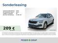 Skoda Kamiq 1.0 TSI Selection PDC/GRA/KLIMA/SHZ/LED - thumbnail 1