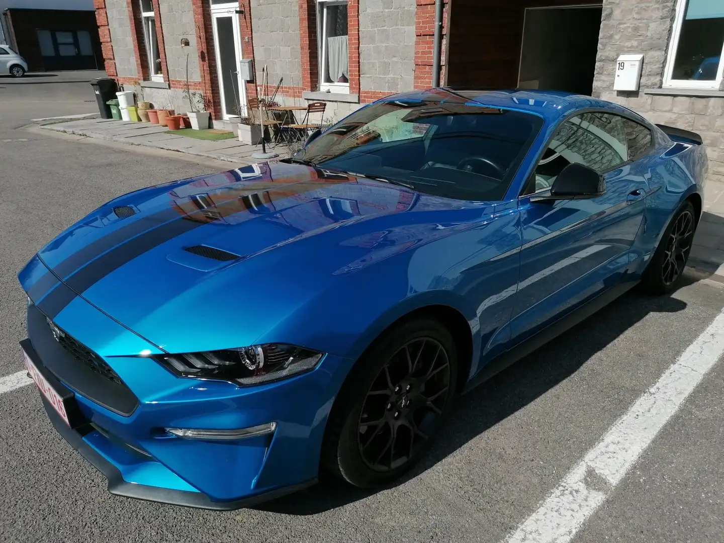 Ford Mustang 2.3 EcoBoost (EU6.2) Blauw - 2