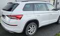 Skoda Kodiaq 2,0 TDI SCR 4x4 Sportline 7 Sitze DSG Weiß - thumbnail 6