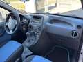 Fiat Panda 1.2 BENZINA 60 CV - COMPLETAMENTE RIVERNICIATA Argento - thumbnail 15