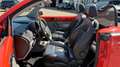 Volkswagen New Beetle Cabriolet 1.6 Highline SITZHEIZUNG Orange - thumbnail 11