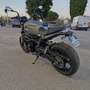 Benelli Leoncino 800 - thumbnail 4