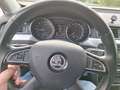 Skoda Superb Superb 2,0 TDI DSG Elegance Business Panorama Braun - thumbnail 10