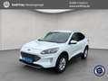Ford Kuga 2.5 Duratec PHEV TITANIUM Weiß - thumbnail 1