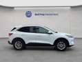 Ford Kuga 2.5 Duratec PHEV TITANIUM Weiß - thumbnail 6