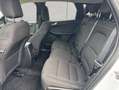 Ford Kuga 2.5 Duratec PHEV TITANIUM Weiß - thumbnail 13