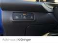 Volkswagen T-Roc 1.5 TSI DSG R line ACC HUD Rück Blau - thumbnail 17