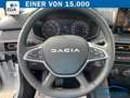 Dacia Sandero STEPWAY 1.0 TCE 100 LPG EXPRESSION SMART-LINK*R-CA Weiß - thumbnail 9