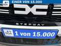 Dacia Sandero STEPWAY 1.0 TCE 100 LPG EXPRESSION SMART-LINK*R-CA Weiß - thumbnail 7