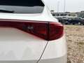 CUPRA Formentor Formentor 1.5 TSI Bianco - thumbnail 12