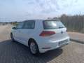 Volkswagen Golf 1.0 TSI Business Edition 81kW Blanc - thumbnail 3