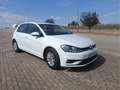 Volkswagen Golf 1.0 TSI Business Edition 81kW Blanc - thumbnail 2