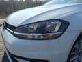 Volkswagen Golf 1.0 TSI Business Edition 81kW Blanc - thumbnail 8
