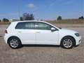 Volkswagen Golf 1.0 TSI Business Edition 81kW Blanc - thumbnail 5