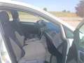 Volkswagen Golf 1.0 TSI Business Edition 81kW Blanc - thumbnail 9