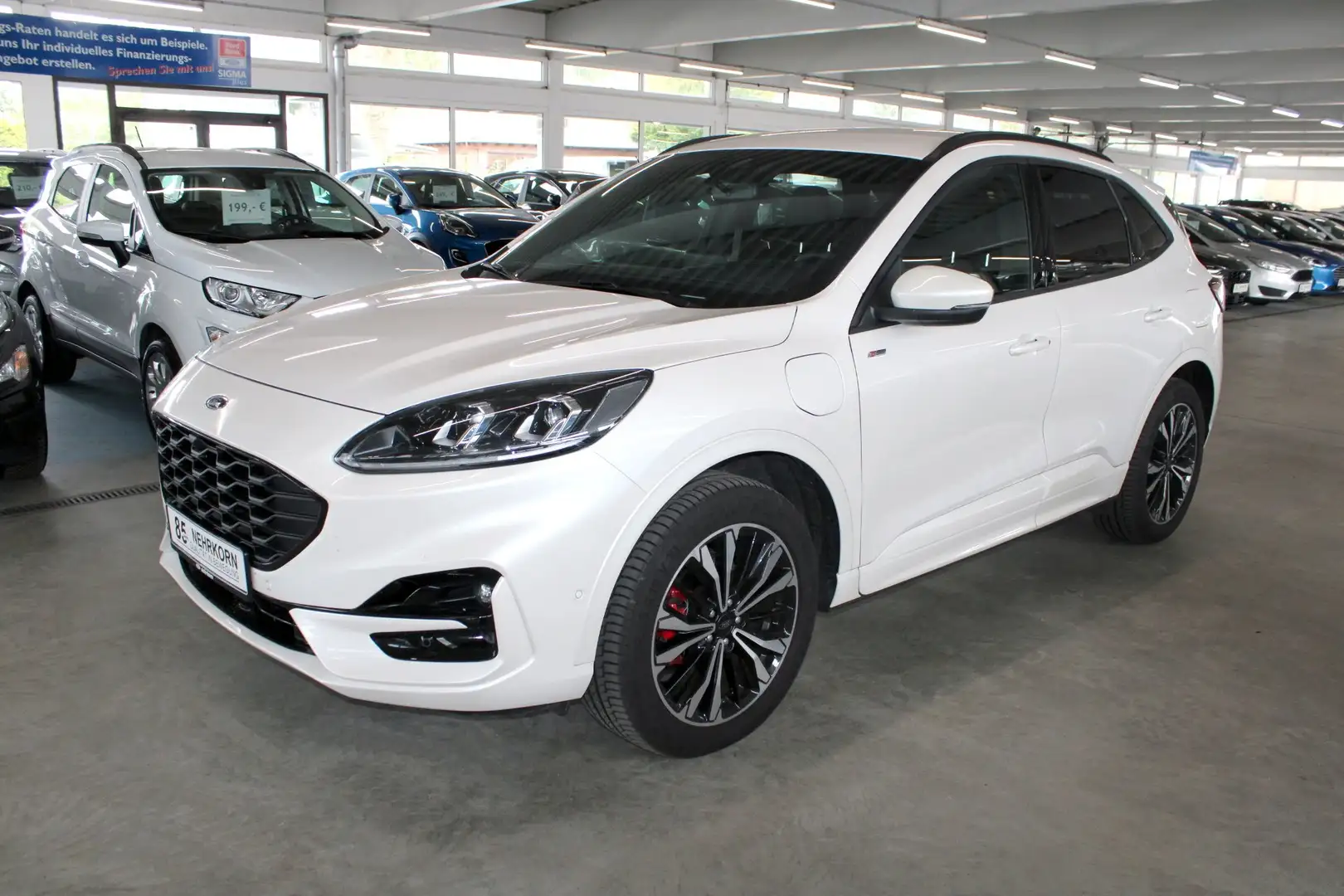 Ford Kuga PHEV ST-LINE X PLU-In-Hybrid AHK Technologie LMF19 White - 2