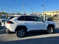 Toyota RAV 4 Rav4 V 2.5 vvt-ie h Active awd 222cv e-cvt Wit - thumbnail 4