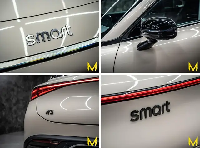 Smart #3 view 8