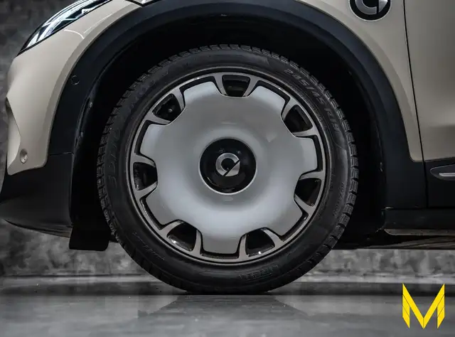 Smart #3 view 11