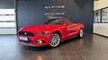 Ford Mustang Mustang Convertible V8 5.0 421 - thumbnail 1