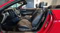 Ford Mustang Mustang Convertible V8 5.0 421 - thumbnail 7