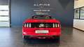 Ford Mustang Mustang Convertible V8 5.0 421 - thumbnail 5