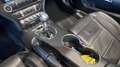 Ford Mustang Mustang Convertible V8 5.0 421 - thumbnail 10