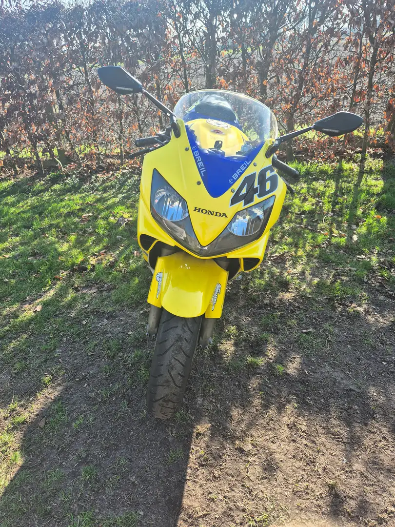 Honda CBR 600 Rossi Replica Žlutá - 2