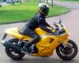 Triumph Daytona T 595 Geel - thumbnail 1