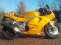Triumph Daytona T 595 Geel - thumbnail 34
