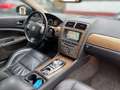 Jaguar XK 5.0 Coupe Portfolio - thumbnail 12